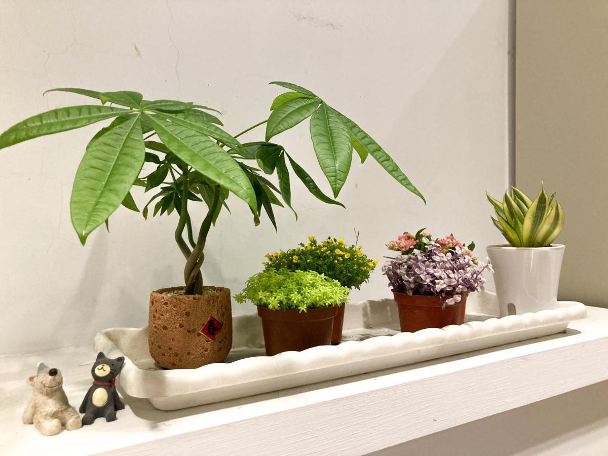 4Plus Hostel Taipei Eksteriør billede